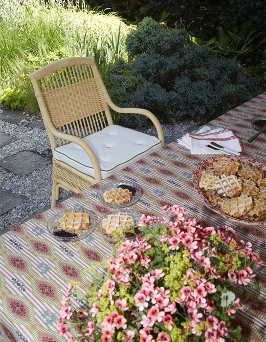 230612_BONACINA__0777(2)