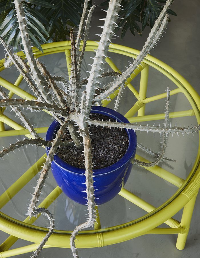 Wild_CoffeeTable_Lime_Detail_G5866